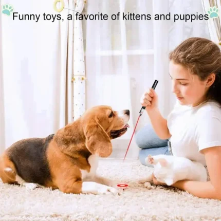 Laser Pointer Pen