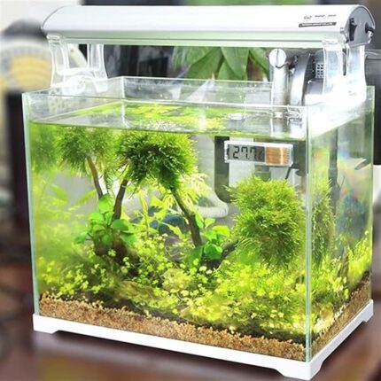 aquarium products